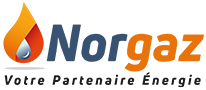 Logo-Norgaz-vente-et-livraison-de-pellets-bois-de-chauffage-et-gaz-lille-metropole-2021
